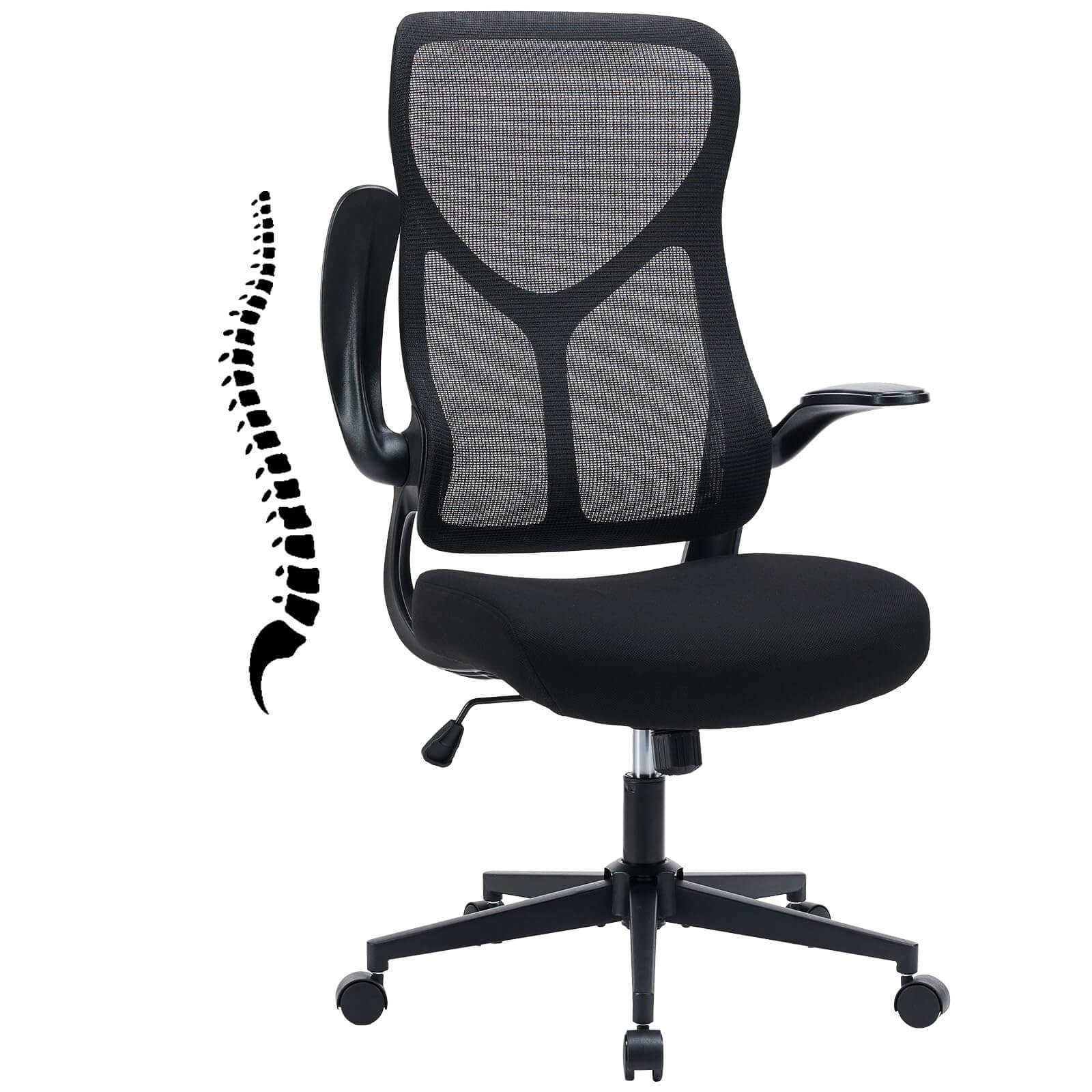 Ergonomic Computer Mesh Chair with Flipup Armrests,Lumbar Support, Ba